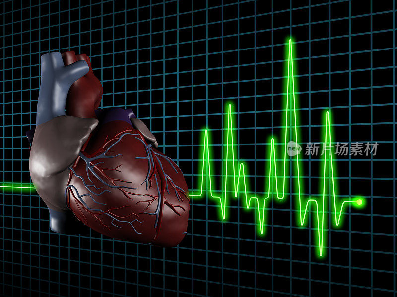 屏幕上显示人类心脏的心电图(ECG / EKG)
